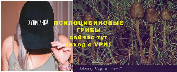 твердый Алексеевка