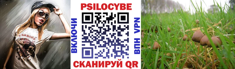 Галлюциногенные грибы Psilocybe  Мамадыш 
